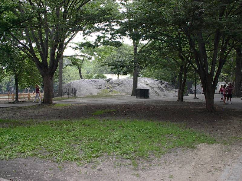 IM001206 